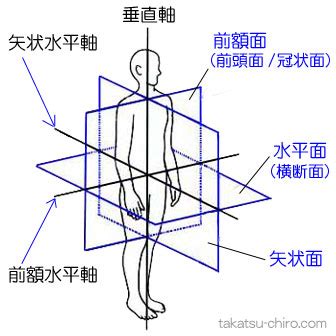 方向用語|「方向」の意味や使い方 わかりやすく解説 Weblio辞書